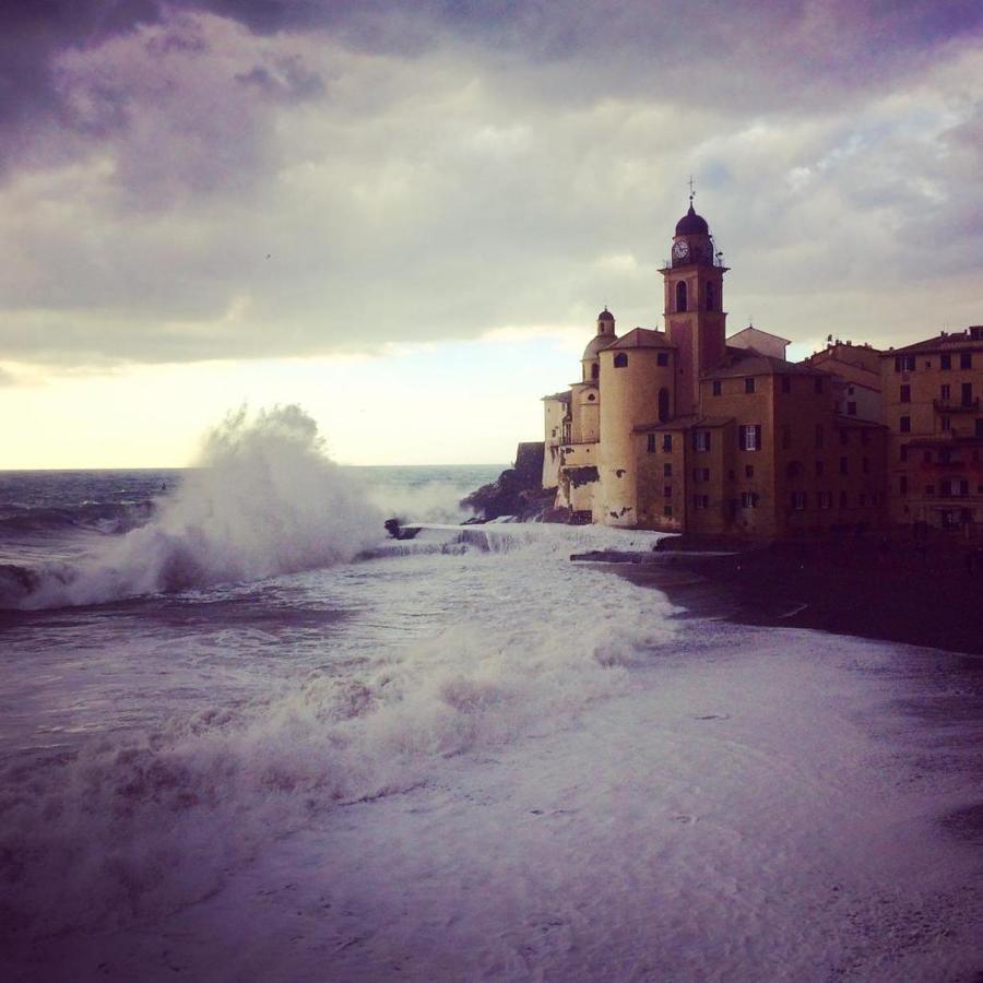 La Casa Della Fiore Camogli Dış mekan fotoğraf