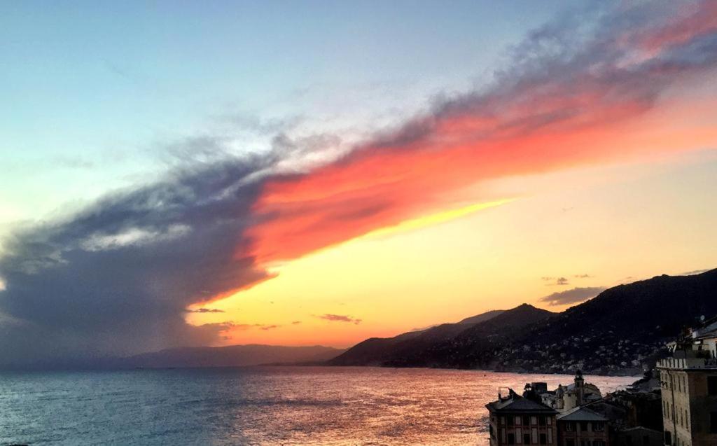 La Casa Della Fiore Camogli Dış mekan fotoğraf