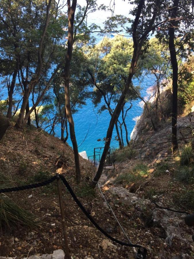 La Casa Della Fiore Camogli Dış mekan fotoğraf